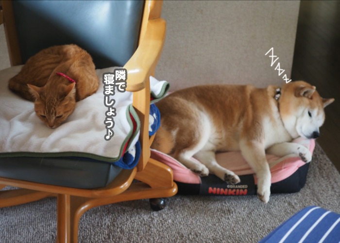 18日夕ブログ5
