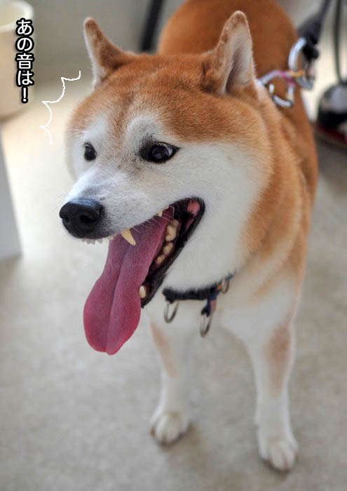 23日ブログ５