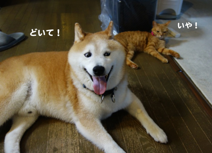 30日夕ブログ2
