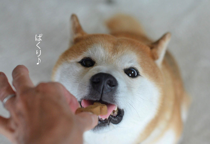 31日ブログ9