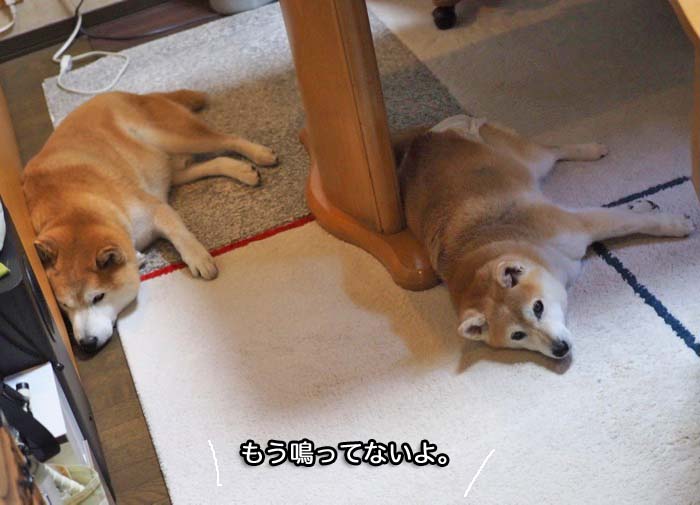 2日午後ブログ７
