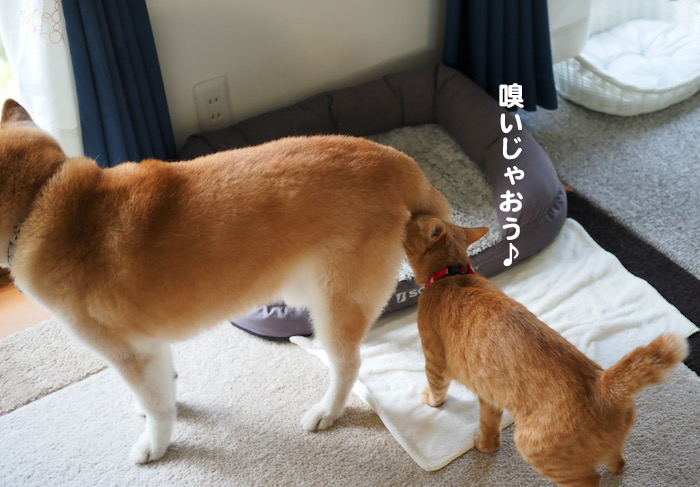 10日夕ブログ4