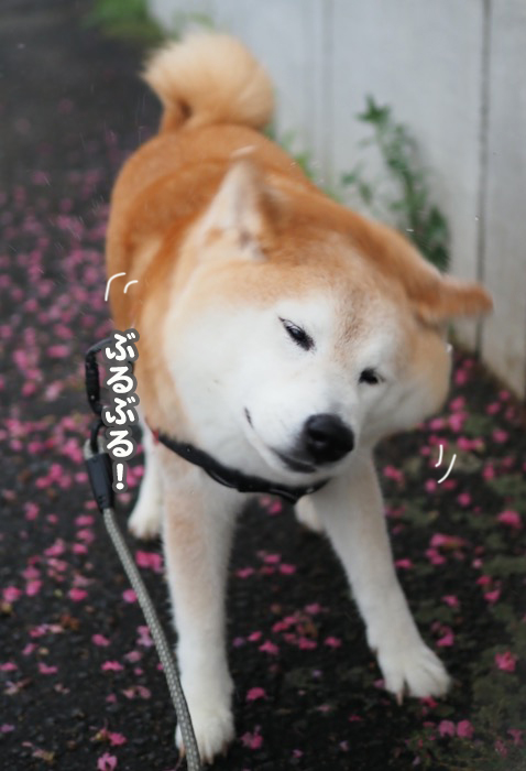 30日夜ブログ７