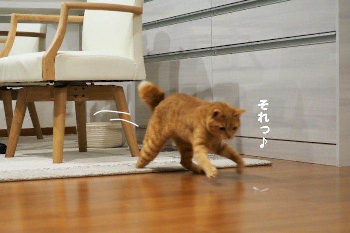 17日夜ブログ５