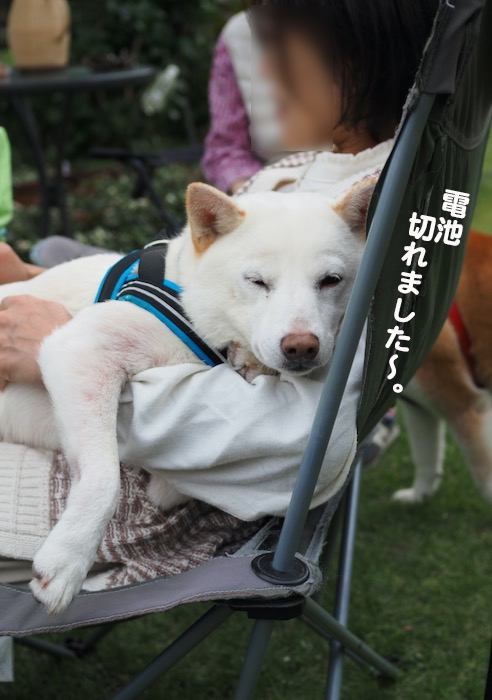 7日夕ブログ２４