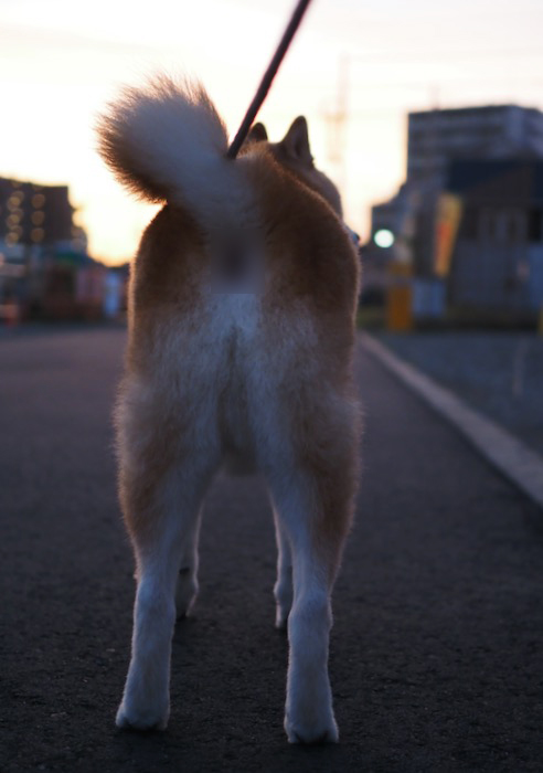 19日夕ブログ４