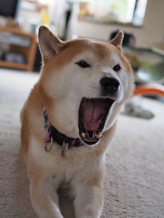 3日ブログ８