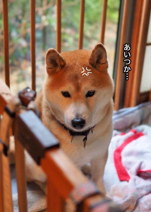 15日ブログ6