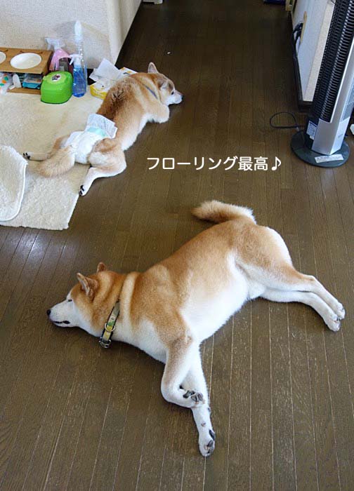 10日午後ブログ２