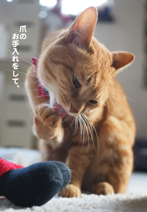 20日夜ブログ３