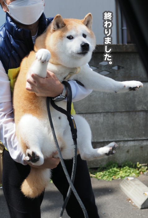 11日夕ブログ８