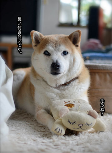 25日ブログ5.jpg