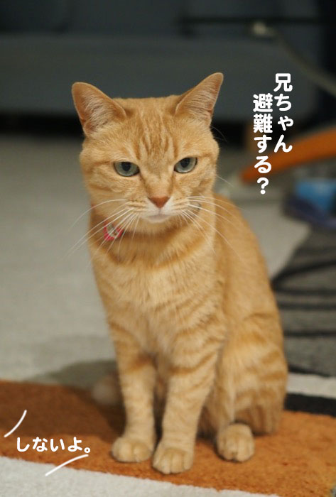 2日夜ブログ５