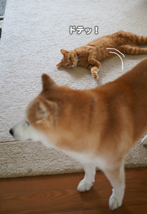 16日夕ブログ３