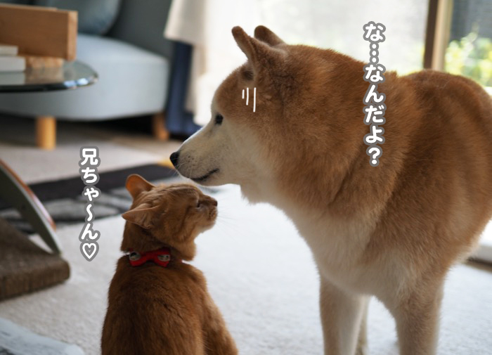 14日ブログ２