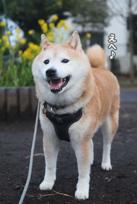 15日夕ブログ５