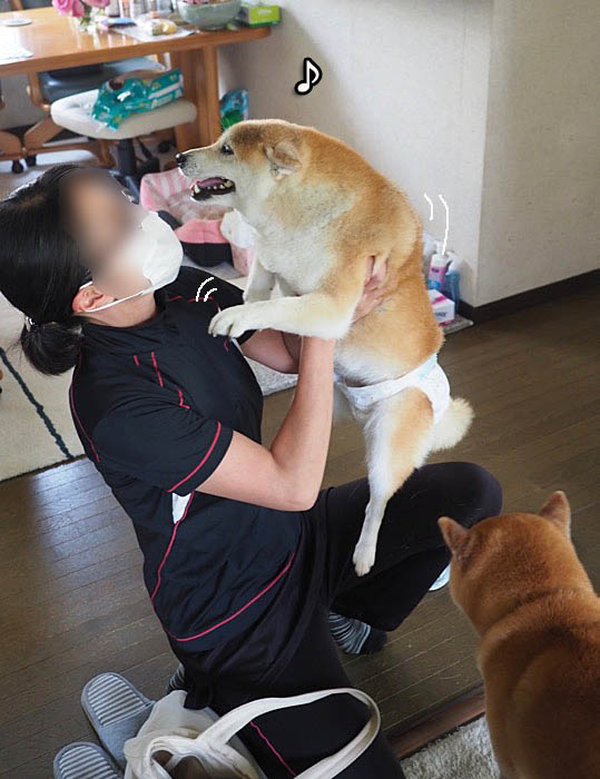 9日夜ブログ４