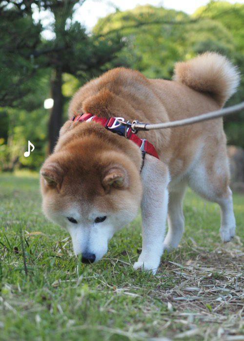 10日ブログ２