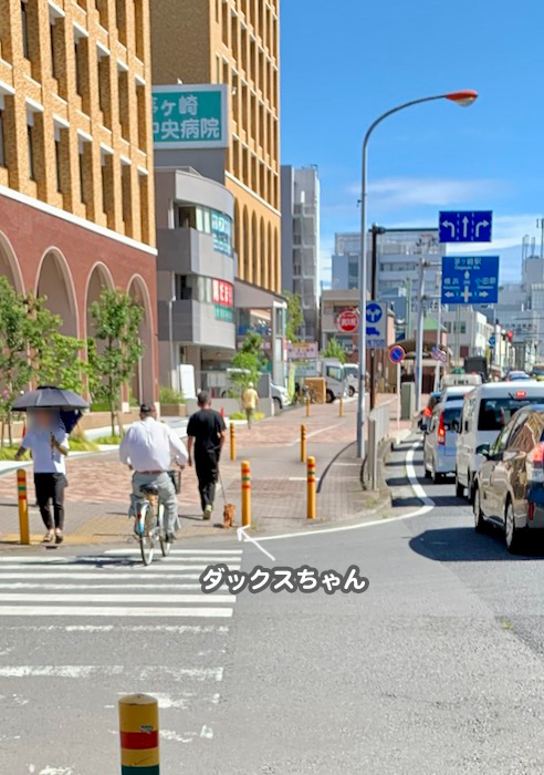 20日夕ブログ６