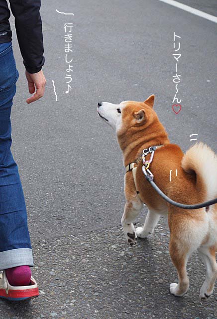 25日ブログ8