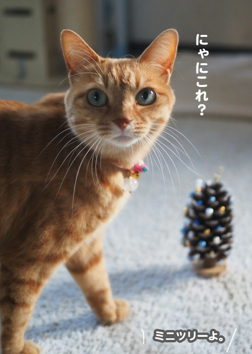 10日夕ブログ１４