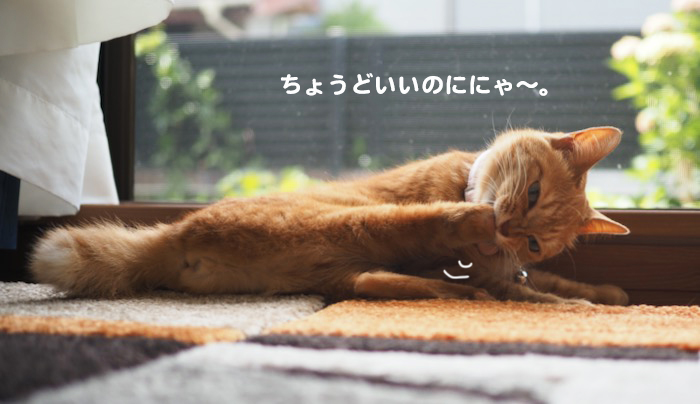 13日ブログ5