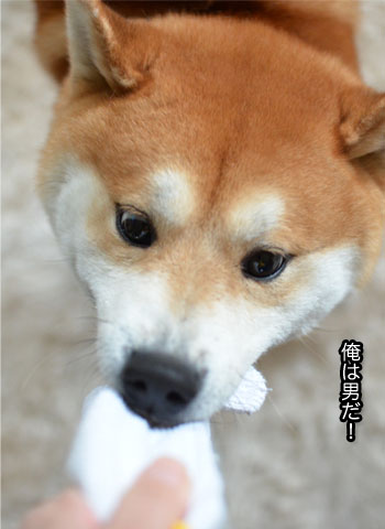 5日ブログ15.jpg