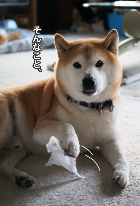 16日夜ブログ５