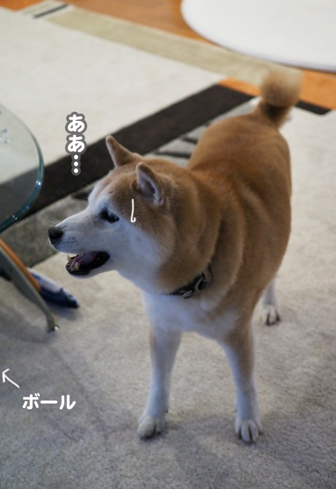 5日夕ブログ４