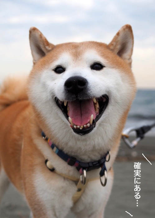16日ブログ６