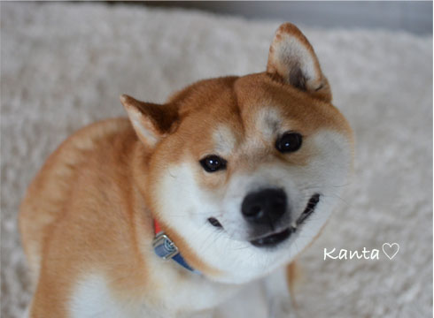 21日ブログ9.jpg