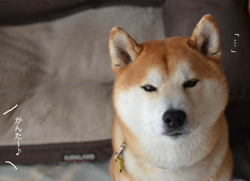 18日ブログ３.jpg