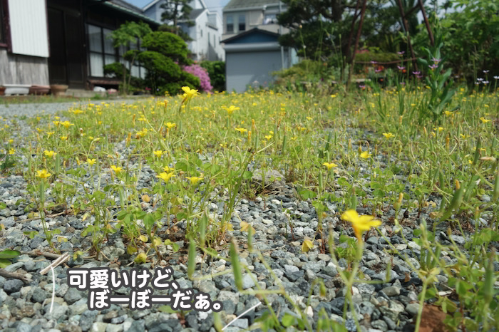23日ブログ１