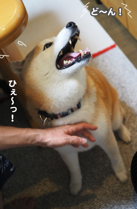 11日ブログ６