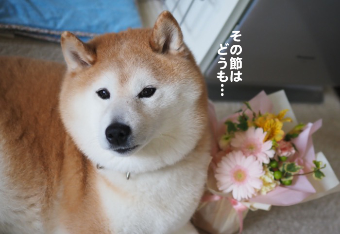 17日ブログ３