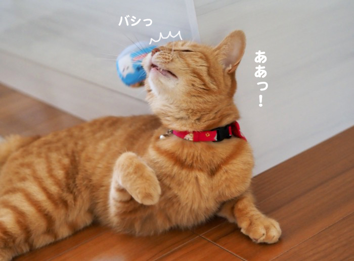 8日夕ブログ９