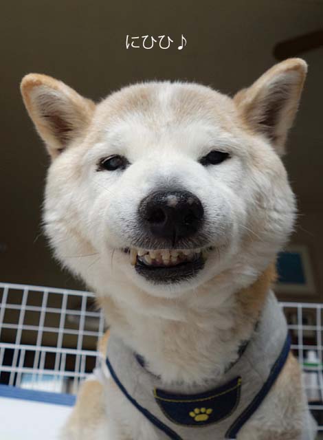 8日ブログ3