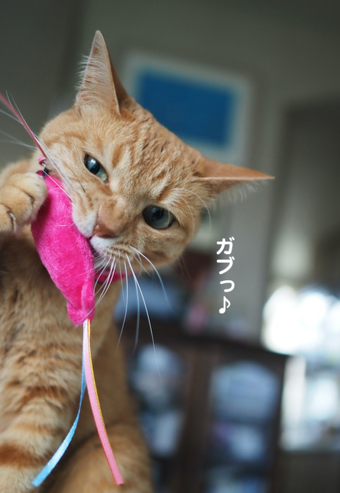25日夕ブログ５