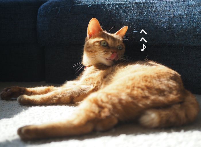 28日ブログ４