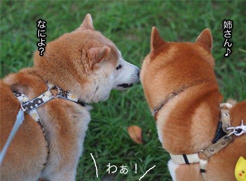 27日ブログ6.jpg