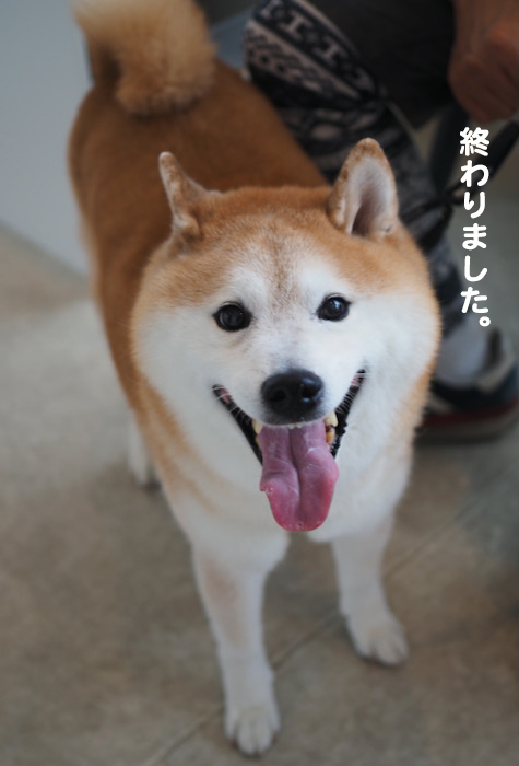 7日夕ブログ８