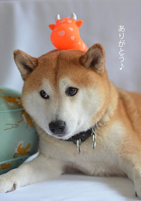 21日ブログ12
