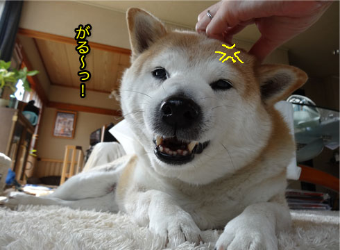 13日ブログ7.jpg
