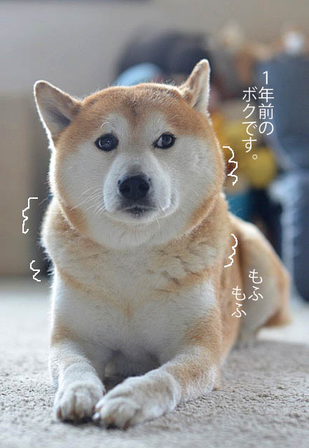 14日ブログ4
