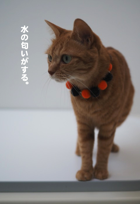 27日ブログ４