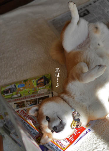 9日ブログ4.jpg