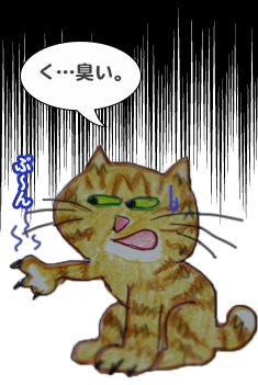 7日夕ブログ７