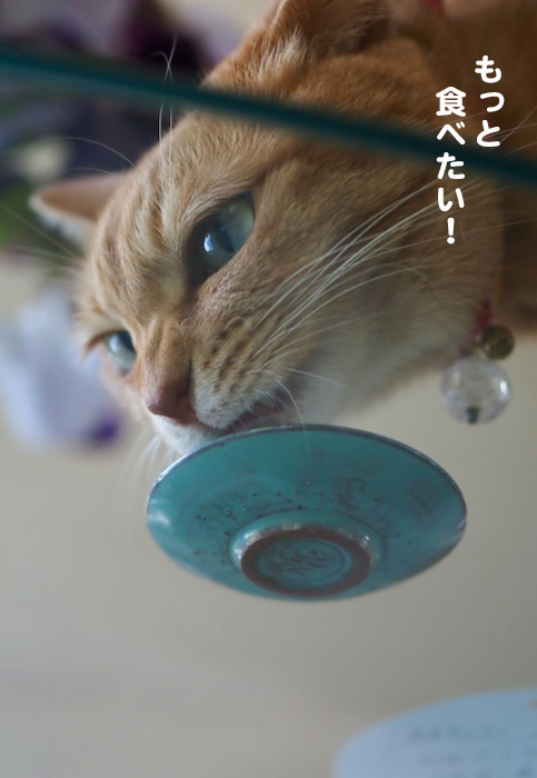 6日夕ブログ９