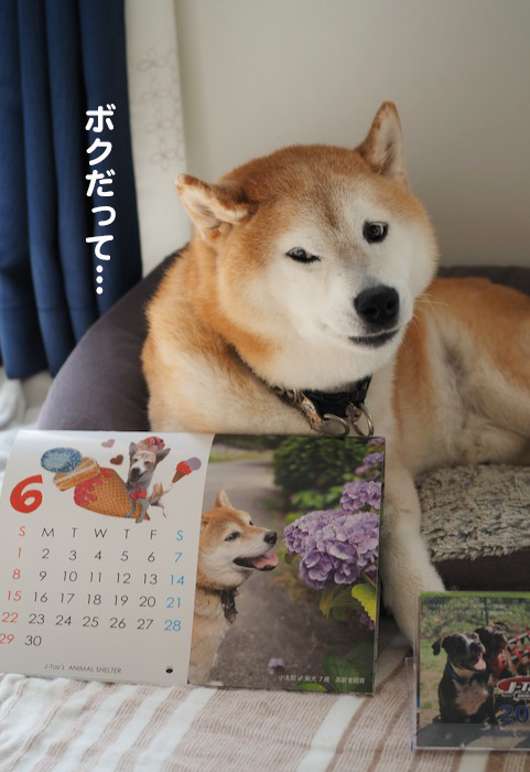 18日夕ブログ７