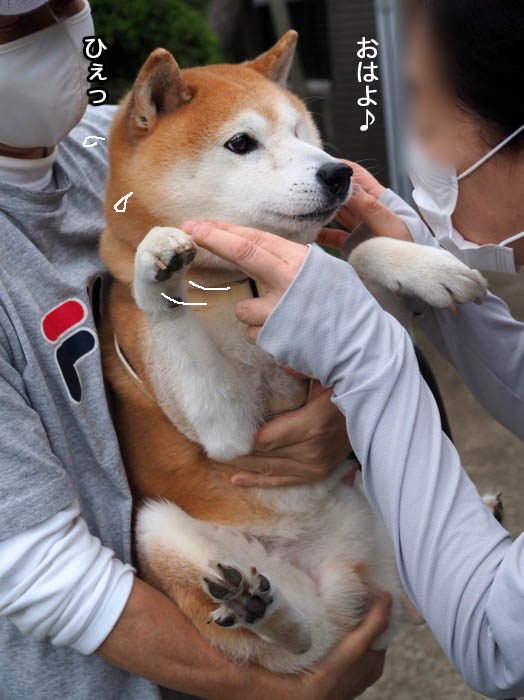 12日夜ブログ６